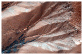 Gully Monitoring
