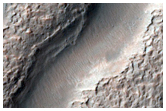 Branched Valleys in Newton Crater
