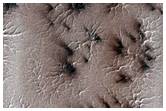 Spider Terrain
