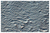 Gullies in Southern Mid-Latitude Crater
