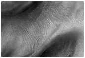 Gullies in Northwestern Argyre Planitia
