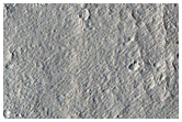 Monitoring New Impact Site
