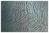 Ganges Mensa Dune Field
