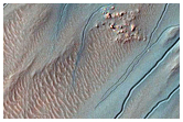 Gully Monitoring

