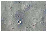 Monitoring New Impact Site
