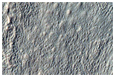 Gully Monitoring
