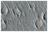 Circular Trough Features on Isidis Planitia
