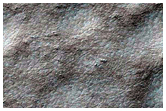 Volatiles and Gullies
