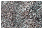 Southern Permafrost Survey
