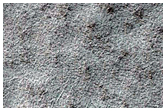 Southern Permafrost Survey

