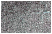 Southern Permafrost Survey
