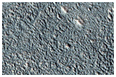 Acidalia Planitia Terrain Sample

