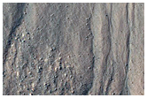 Gullies in Western Nereidum Montes
