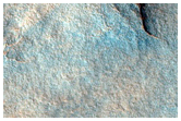 Northern Plains Sample

