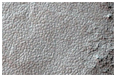 Southern Permafrost Survey
