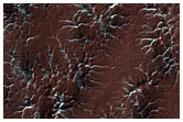 Spider Terrain
