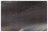 Spider Terrain
