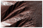 Gully Monitoring
