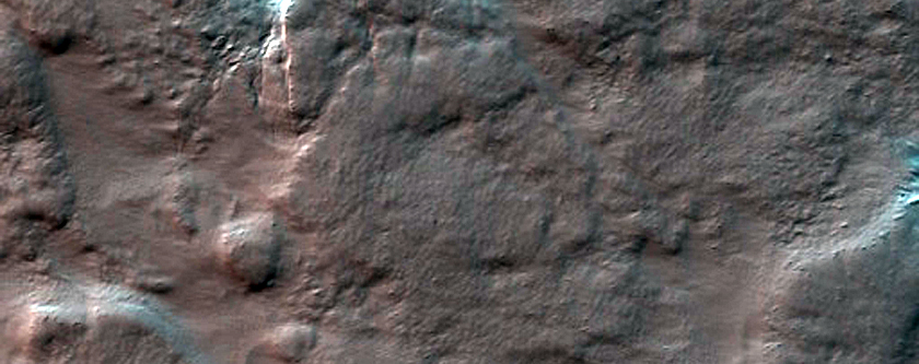 Spider Terrain
