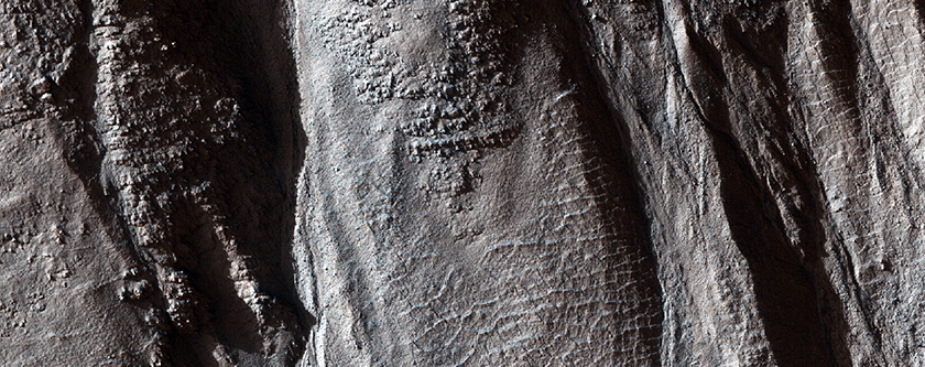 Gullies in Southern Mid-Latitude Crater
