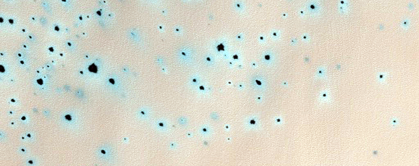 Spots and Seasonal Cracks on Dunes
