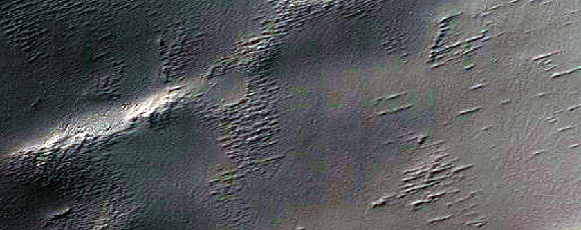 Spider Terrain
