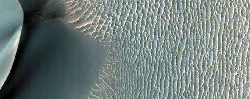 Proctor Crater Dune Changes
