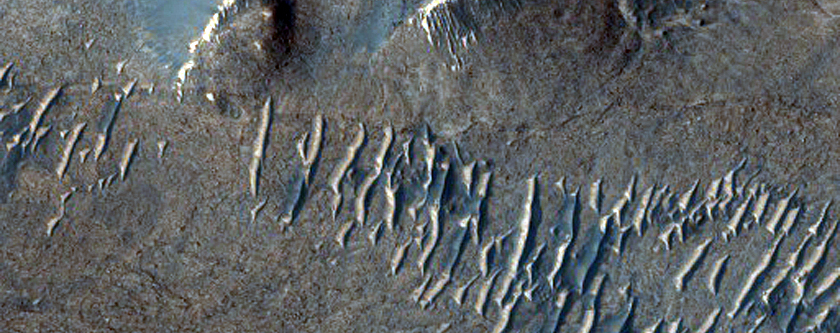 Possible Phyllosilicate Deposit in Valles Marineris
