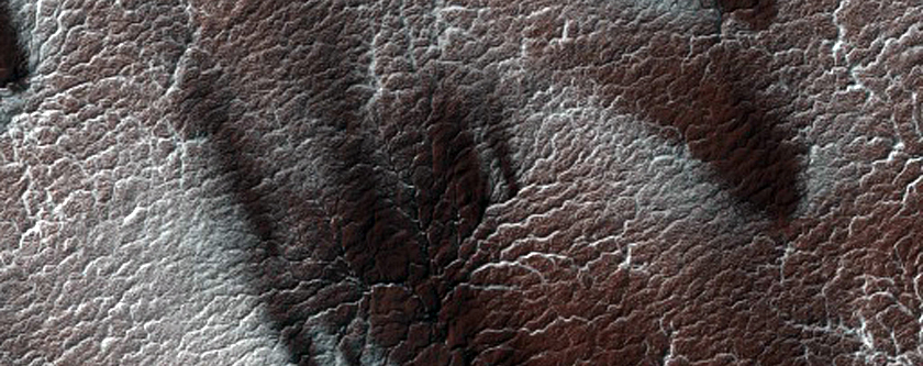 Region Informally Dubbed Manhattan Classic Spider Terrain
