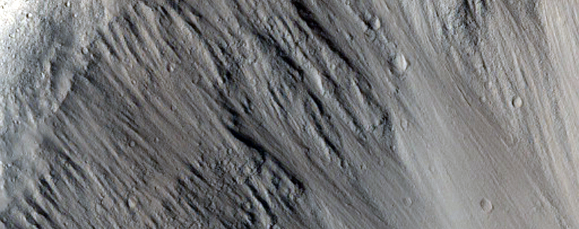 Gullies on Mound in Elysium Planitia
