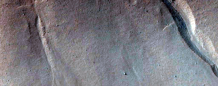 Monitor Gullies on Pole-Facing Slope in Asimov Crater
