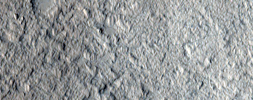 Lobate Form with Digitate Ridges on Northwest Wall of Nicholson Crater
