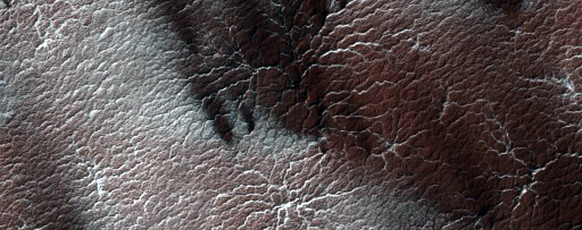 Region Informally Dubbed Manhattan Classic Spider Terrain
