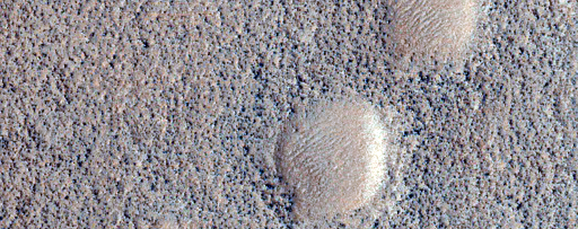 Northern Plains Contact

