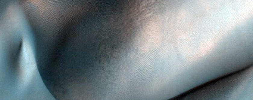 Dune Gullies in Aonia Terra
