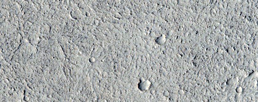Inflationary Features Along Lava Flow Margins in Elysium Planitia
