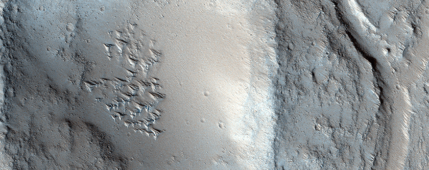 Volcanic Landforms of the Halex Fossae Region
