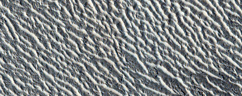 Ripples in Cerberus Region
