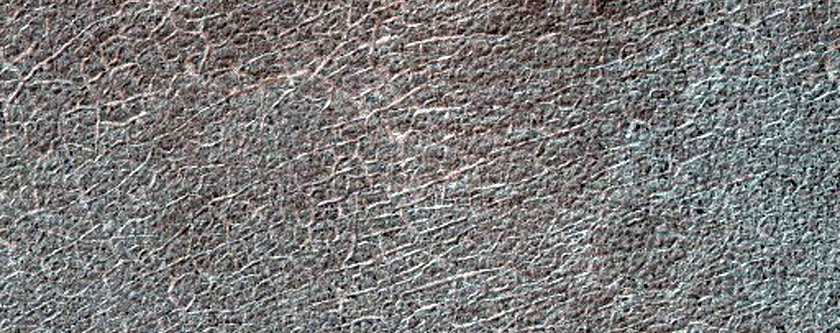 Southern Permafrost Seasonal Defrosting
