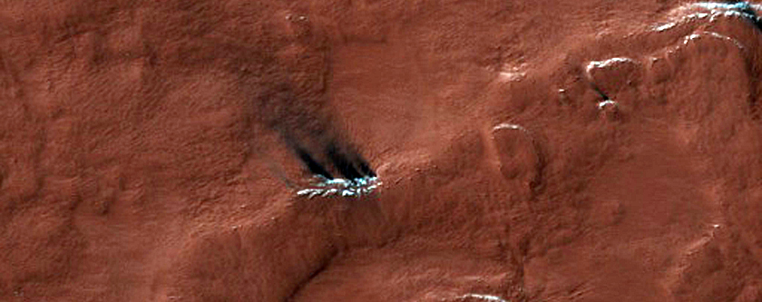 Spider Terrain