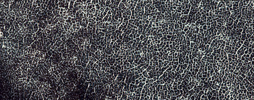 Southern Permafrost Seasonal Defrosting