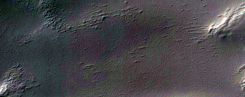 Spider Terrain