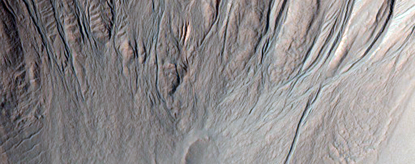 Gully Monitoring