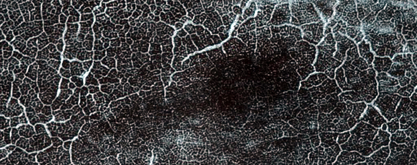 Southern Permafrost Seasonal Defrosting
