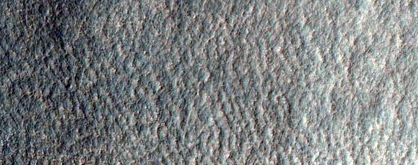 Gullies in Terra Sirenum Crater Wall