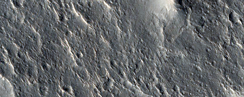 Isidis Planitia Sample
