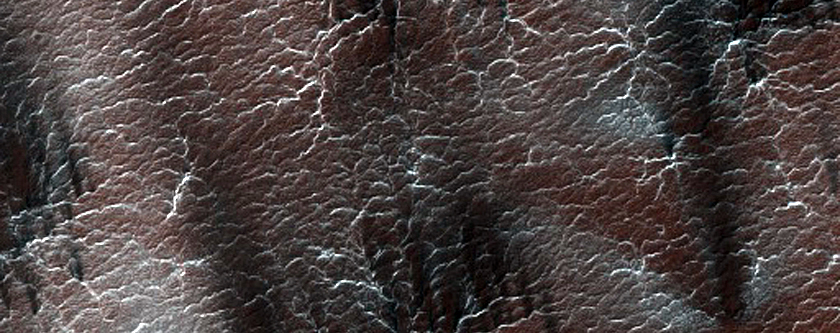Region Dubbed Manhattan Classic Spider Terrain