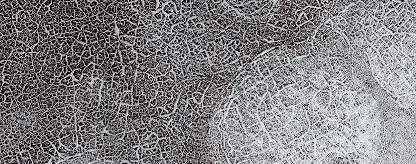 Southern Permafrost Seasonal Defrosting