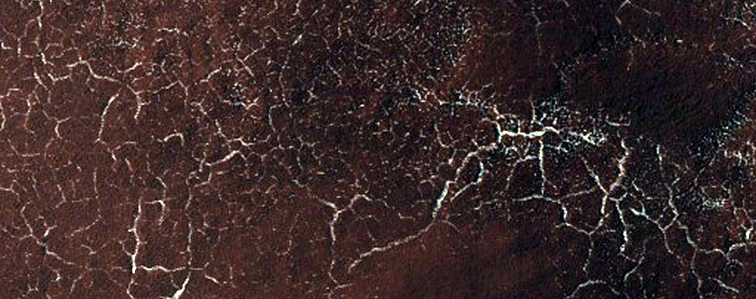 Southern Permafrost Seasonal Defrosting