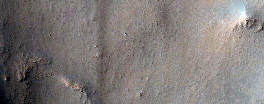 Gully Monitoring